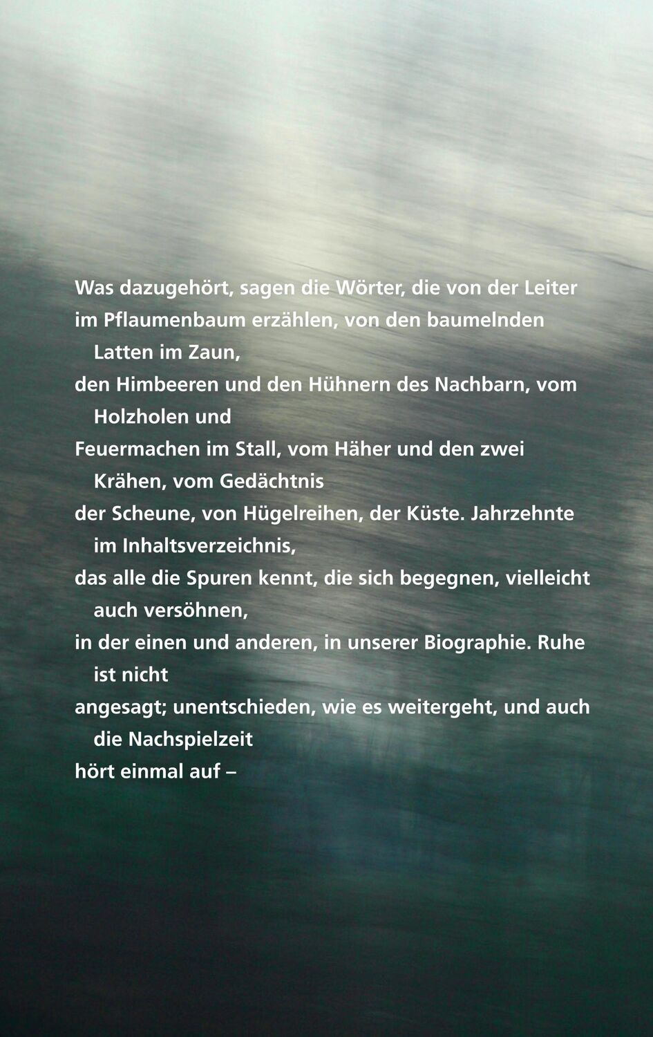 Rückseite: 9783518431924 | Nachspielzeit | Sätze und Gedichte Selbstgespräche für Zuhörer | Buch