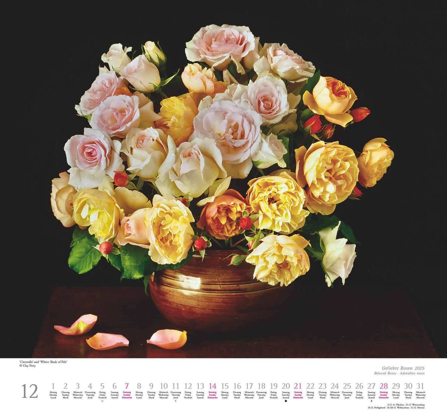 Bild: 4250809653082 | Geliebte Rosen 2025 - DUMONT Wandkalender - mit allen wichtigen...