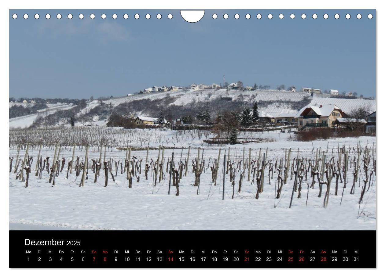 Bild: 9783435758524 | Weinidylle im Südburgenland (Wandkalender 2025 DIN A4 quer),...