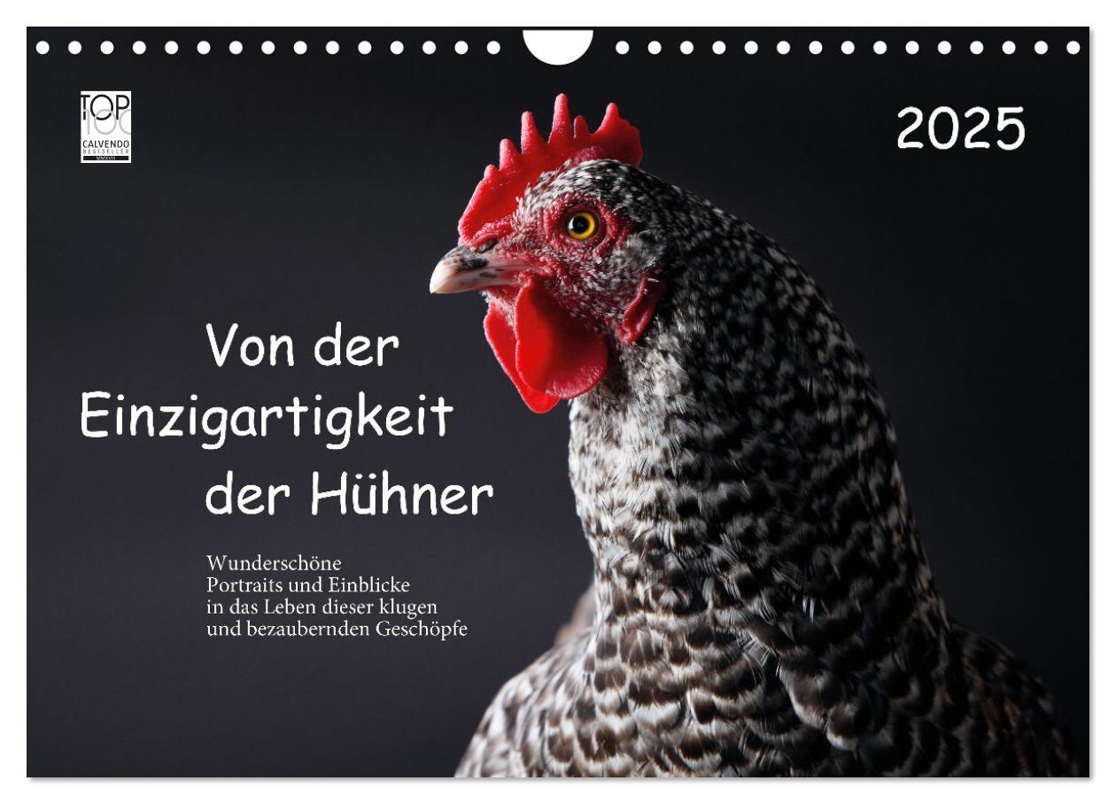 Cover: 9783457144718 | Von der Einzigartigkeit der Hühner 2025 (Wandkalender 2025 DIN A4...