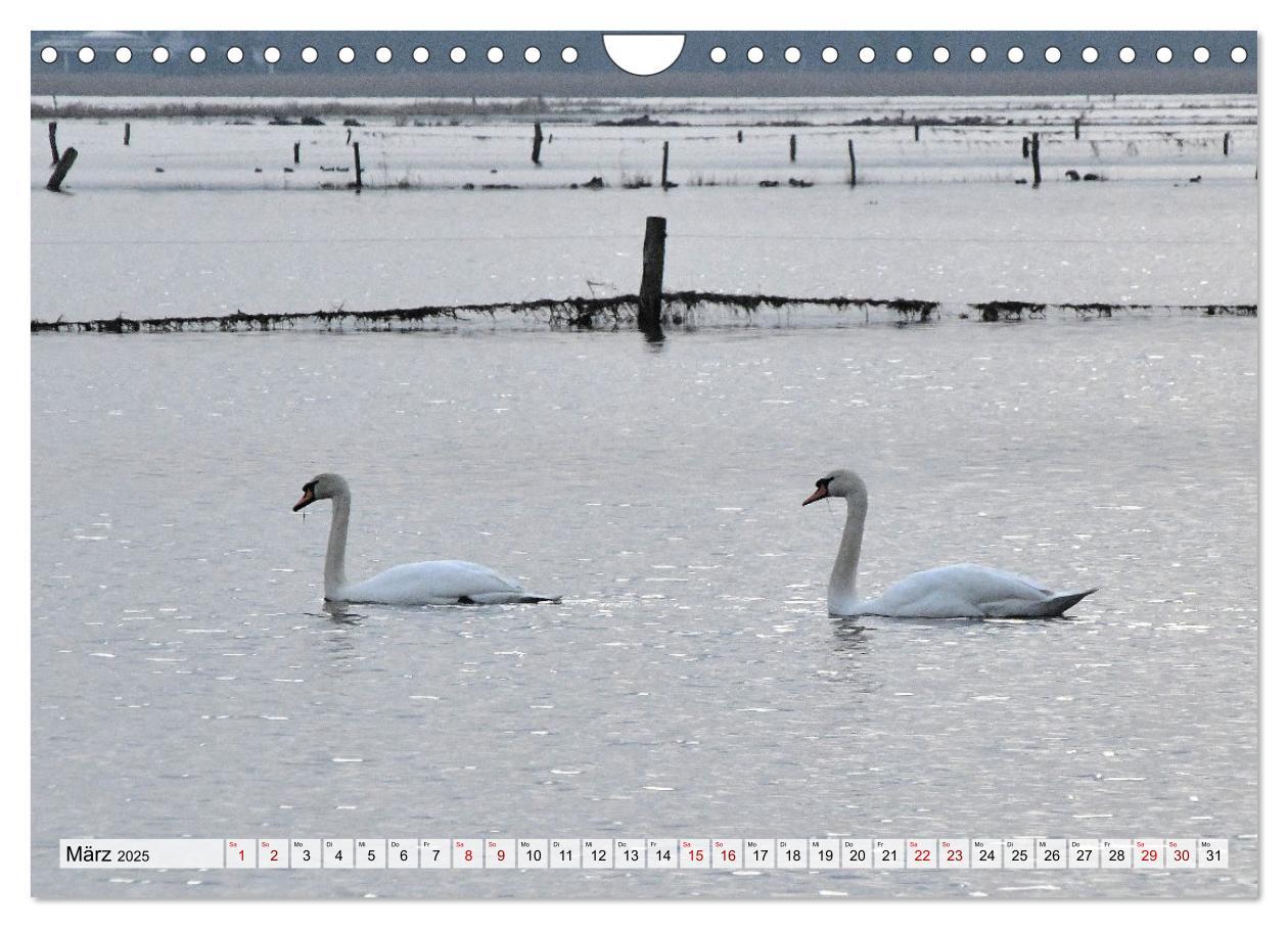 Bild: 9783383978005 | Hochwasser als Teil der Umwelt (Wandkalender 2025 DIN A4 quer),...