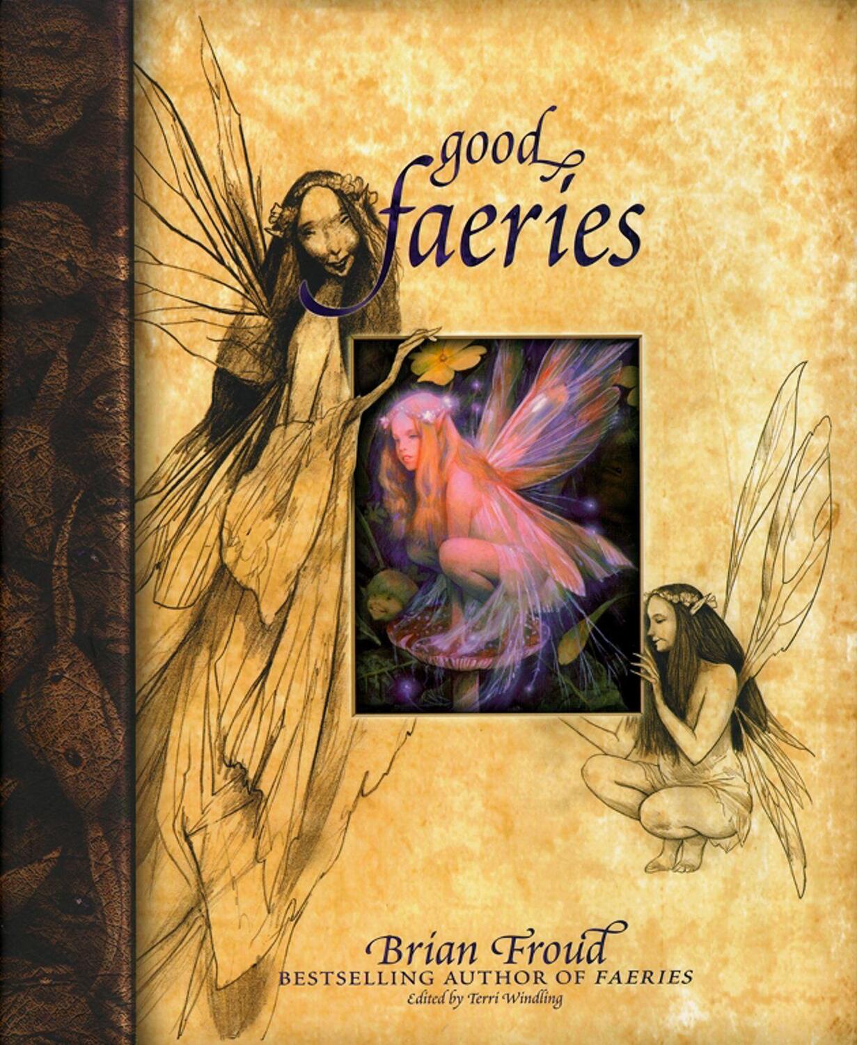 Cover: 9780684847818 | Good Faeries/Bad Faeries | Brian Froud | Buch | Englisch | 2009