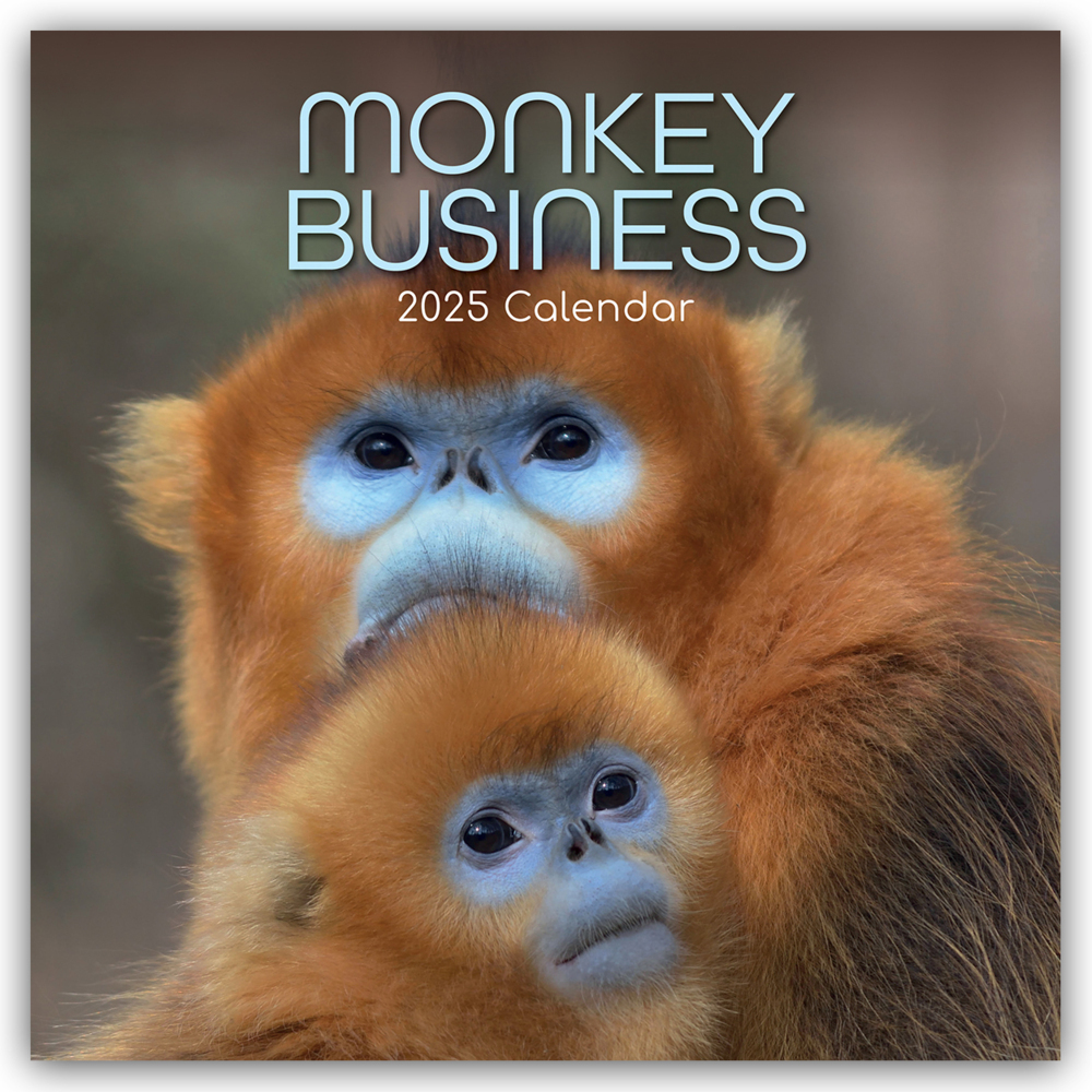 Cover: 9781835361276 | Monkey Business 2025 - 16-Monatskalender | Ltd | Kalender | 14 S.