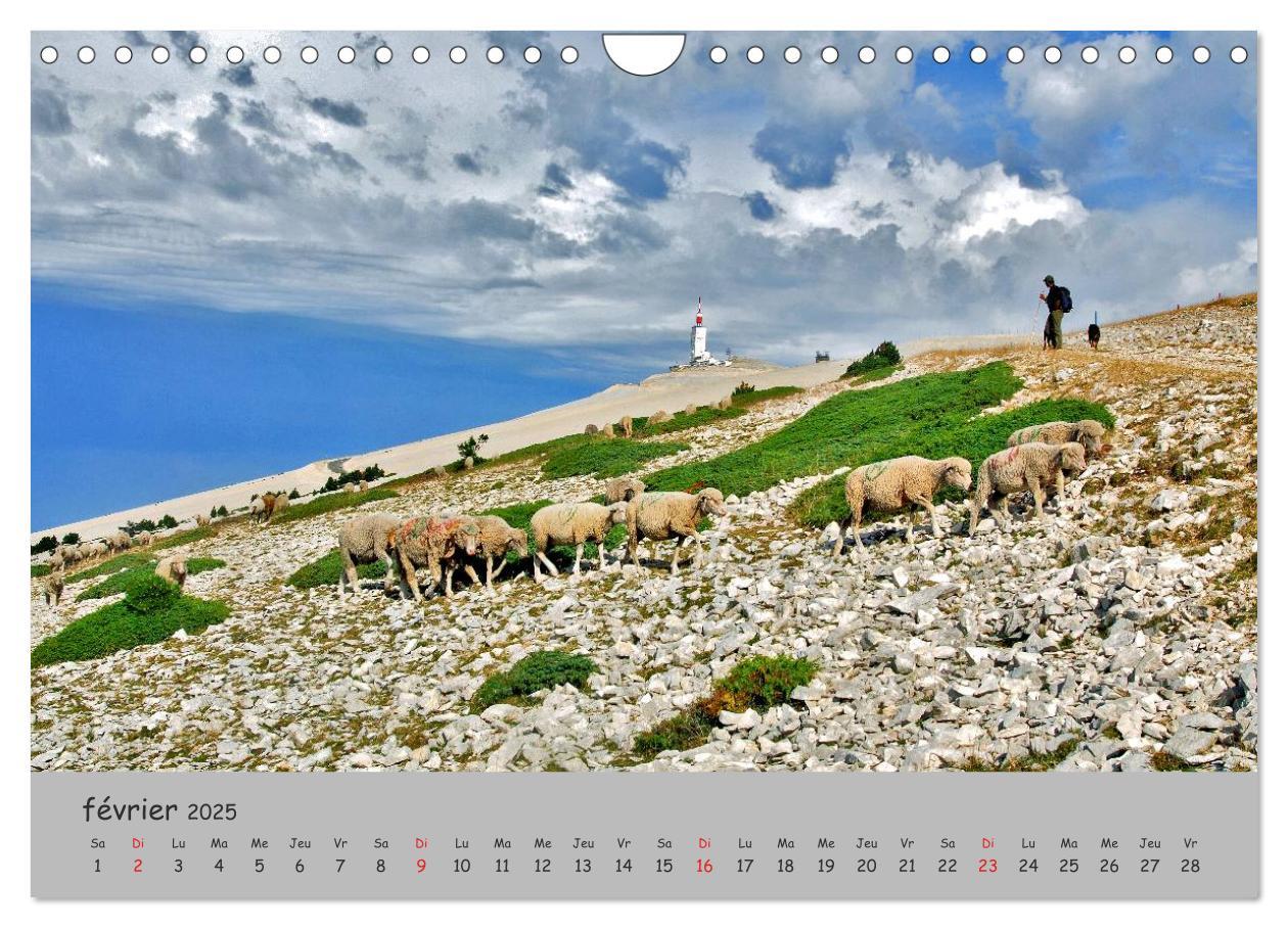 Bild: 9781325960606 | Le Mont Ventoux Le géant de Provence (Calendrier mural 2025 DIN A4...