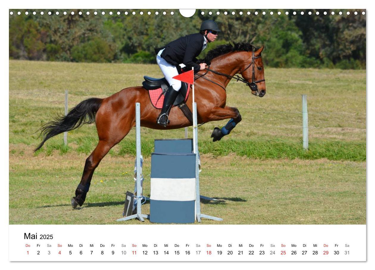 Bild: 9783435618057 | Vielseitigkeitsreiten (Wandkalender 2025 DIN A3 quer), CALVENDO...