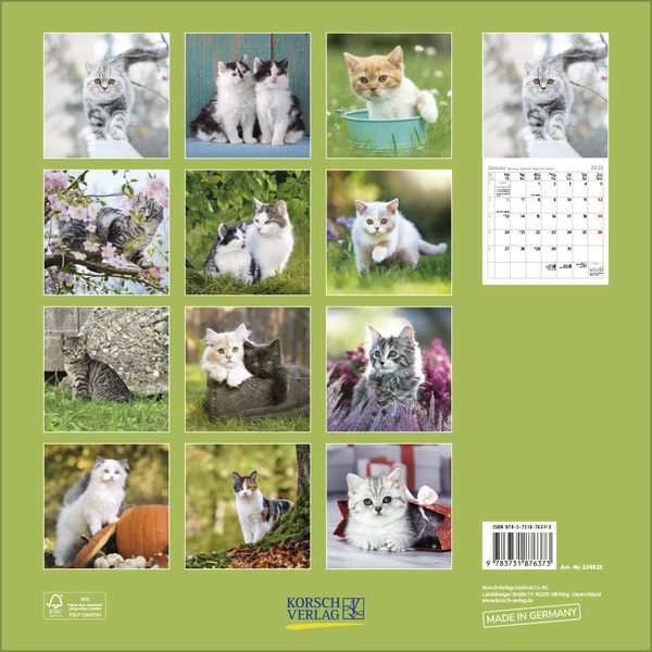 Bild: 9783731876373 | Cats 2025 | Korsch Verlag | Kalender | Englisch Broschur | 13 S.