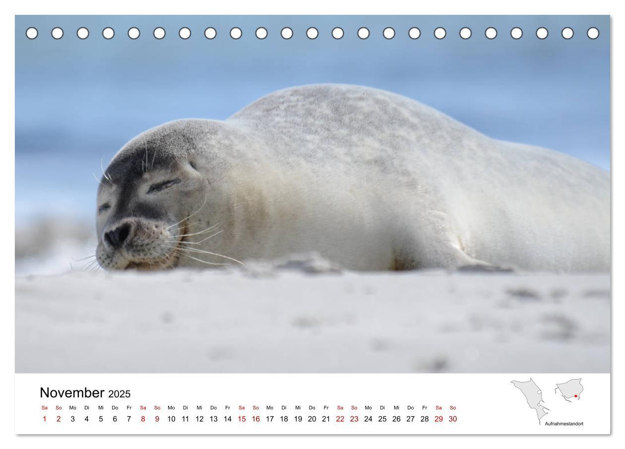 Bild: 9783435389254 | Mitreisekalender 2025 Helgoland (Tischkalender 2025 DIN A5 quer),...