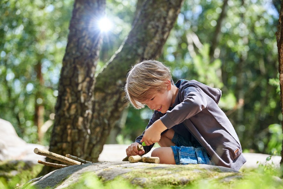 Bild: 4010168249179 | HABA Terra Kids Handbohrer | Pappkarte | 1305321001 | Deutsch | 2020