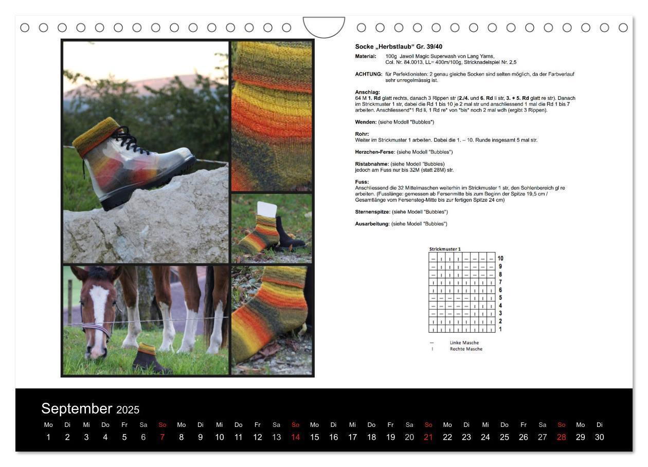 Bild: 9783435660209 | Sockenkalender Bootsocks 2025 (Wandkalender 2025 DIN A4 quer),...