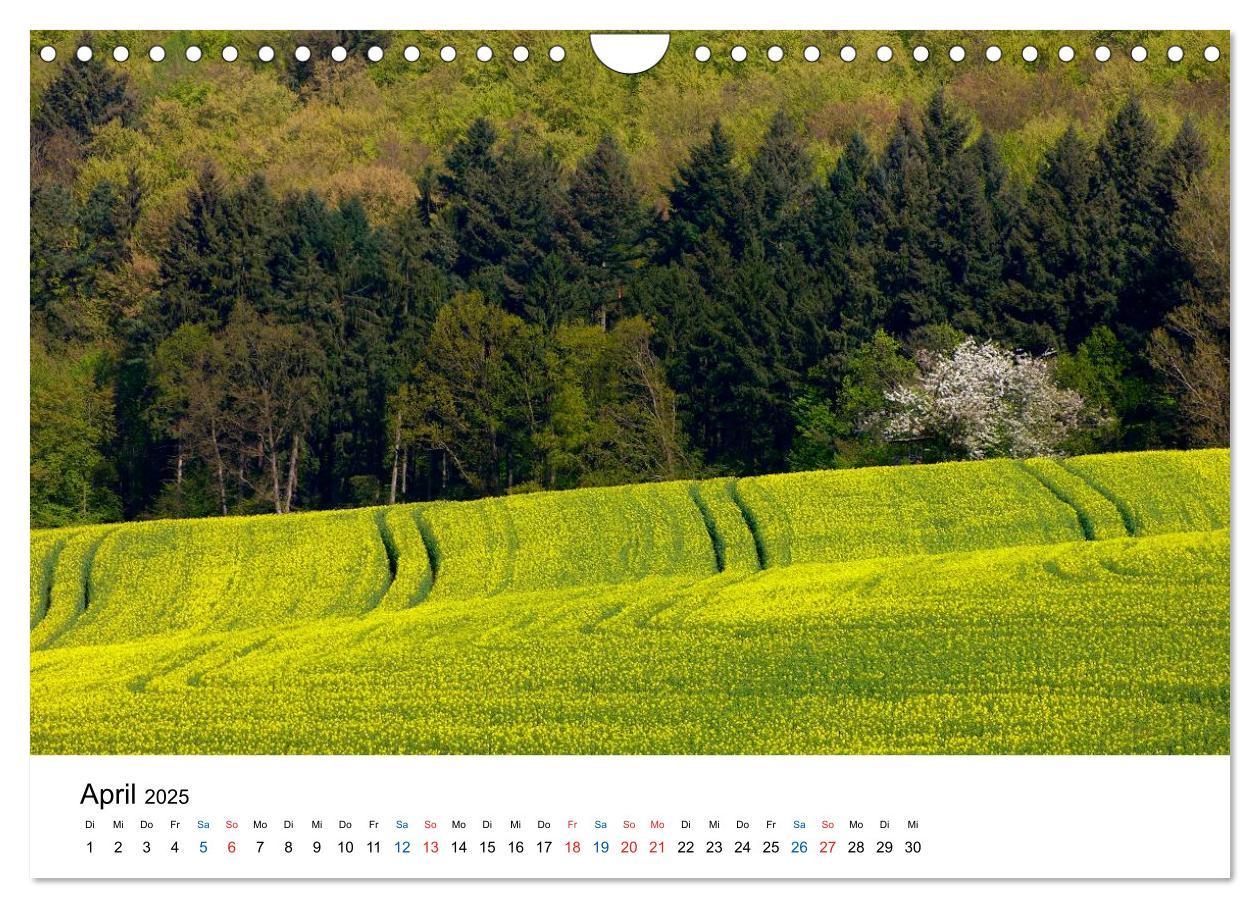 Bild: 9783435780471 | Felder und Wiesen (Wandkalender 2025 DIN A4 quer), CALVENDO...