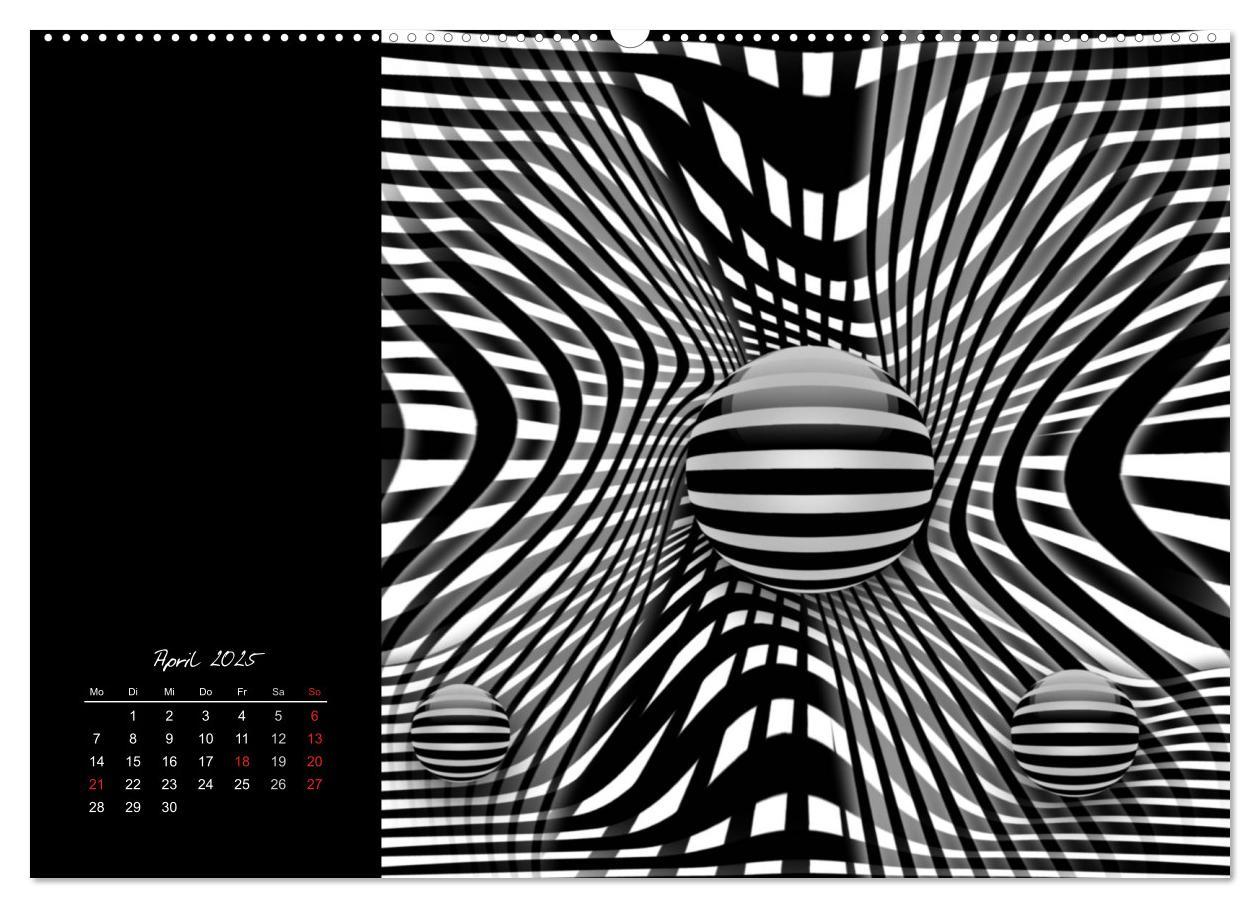 Bild: 9783435794522 | Schwarz trifft Weiß (Wandkalender 2025 DIN A2 quer), CALVENDO...