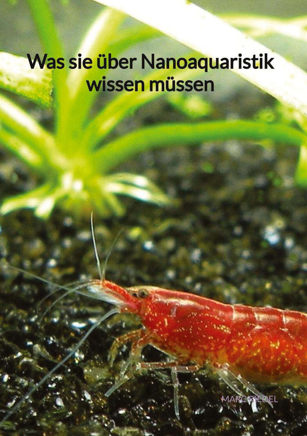 Cover: 9783347941236 | Was sie über Nanoaquaristik wissen müssen | Marc Riedel | Buch | 88 S.