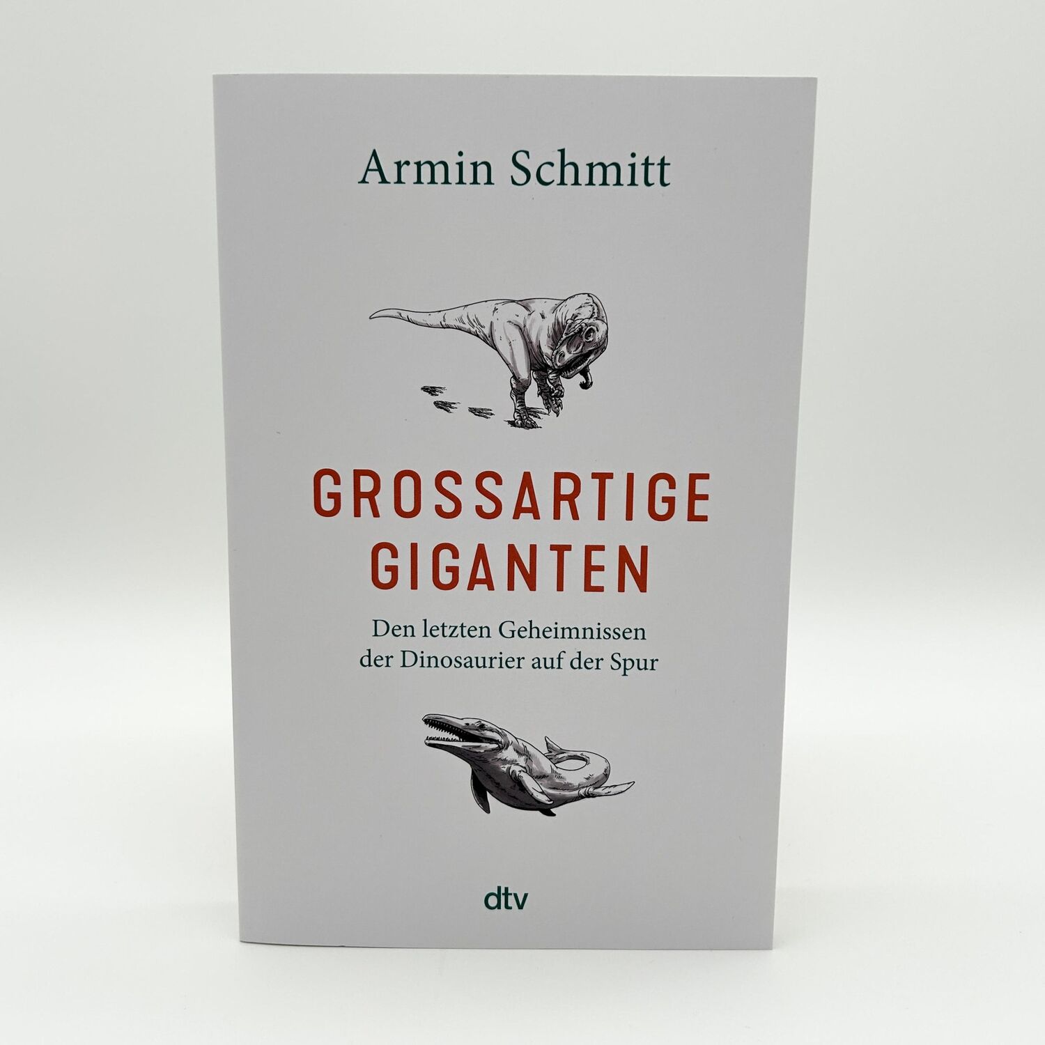 Bild: 9783423352079 | Großartige Giganten | Armin Schmitt | Taschenbuch | 352 S. | Deutsch