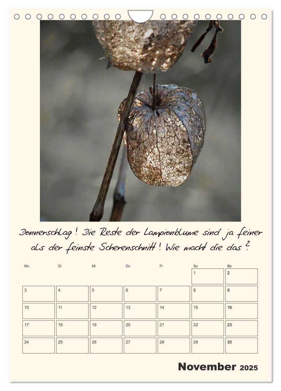 Bild: 9783435999583 | Gartengeschichten (Wandkalender 2025 DIN A4 hoch), CALVENDO...