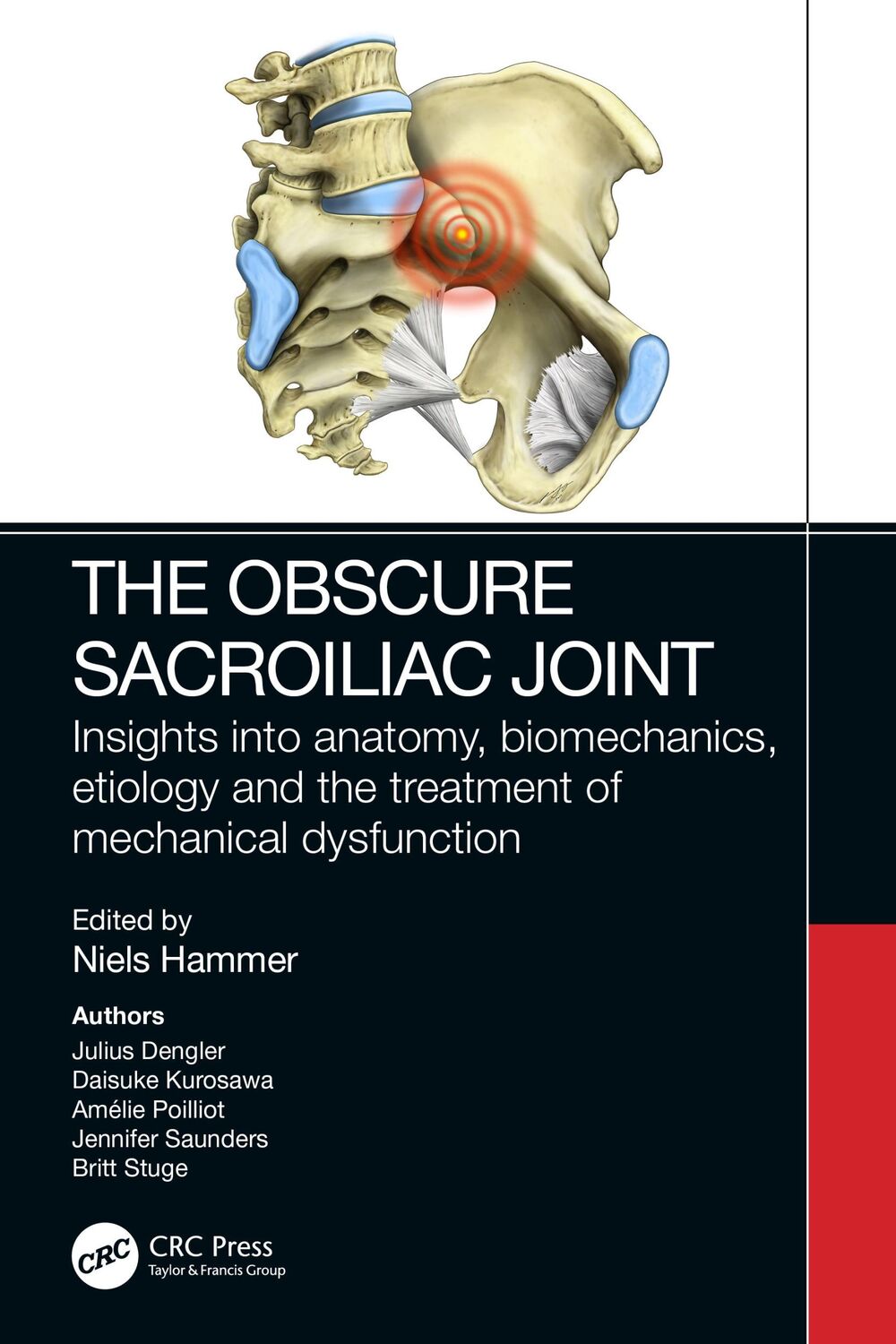 Cover: 9781032387062 | The Obscure Sacroiliac Joint | Niels Hammer | Taschenbuch | Englisch