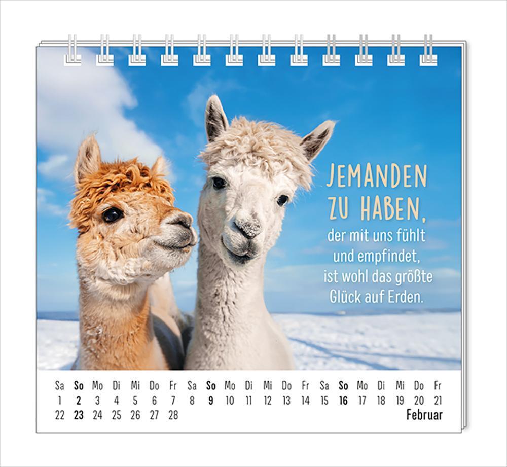 Bild: 9783986361099 | Mini-Kalender 2025 Happymacher | Mini-Kalender | Original | Kalender