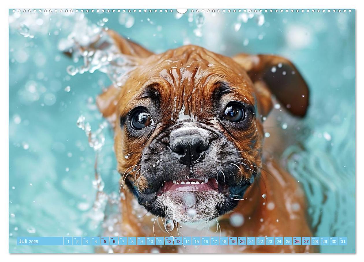 Bild: 9783457129241 | Hunde und Wasser (Wandkalender 2025 DIN A2 quer), CALVENDO...