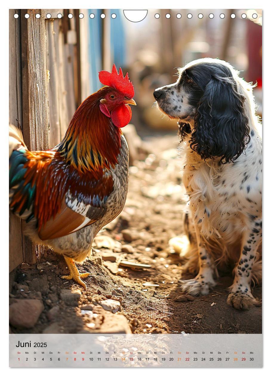 Bild: 9783383765322 | Cocker Spaniel - ein Hund für die Familie (Wandkalender 2025 DIN A4...