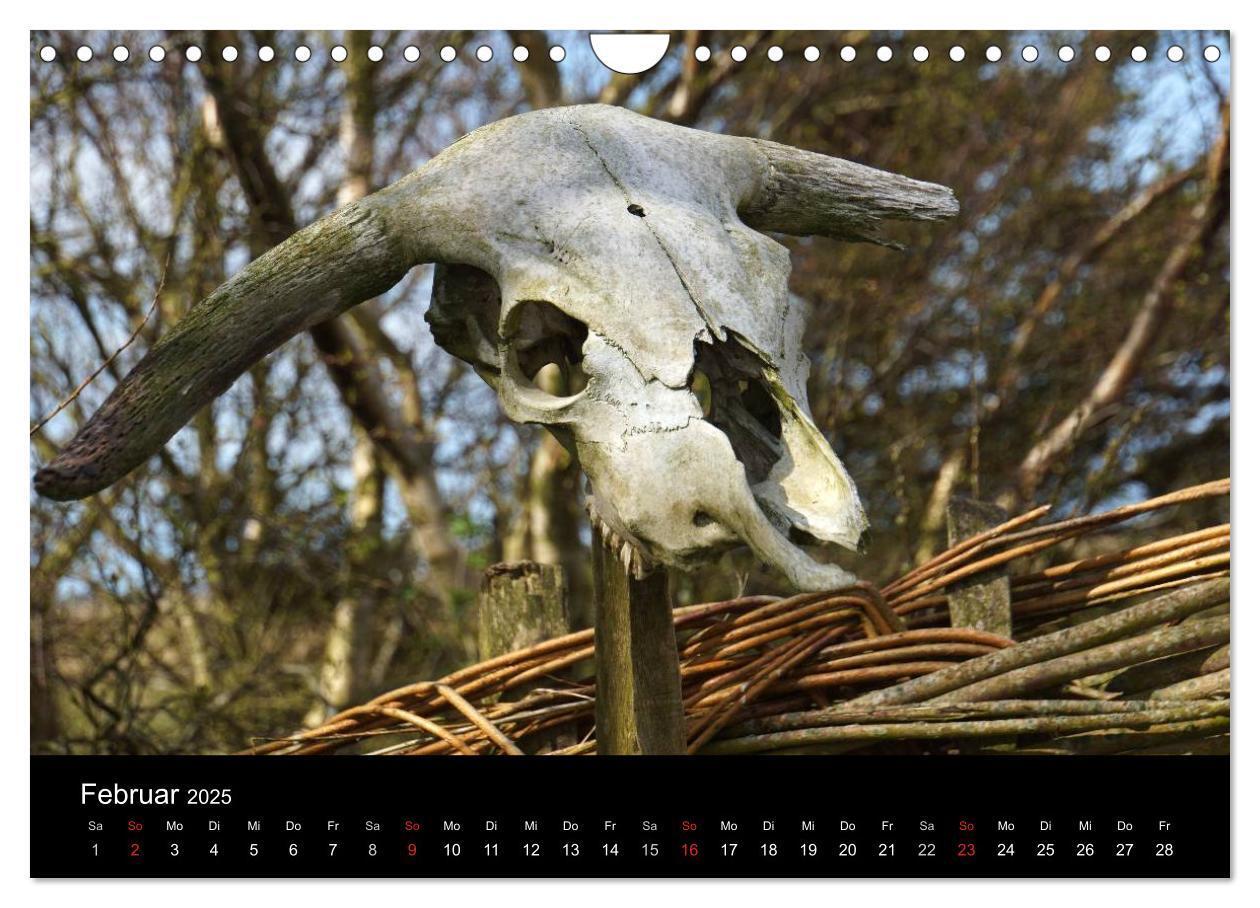 Bild: 9783435608546 | Dänemark - Umgebung von Hvide Sande (Wandkalender 2025 DIN A4...