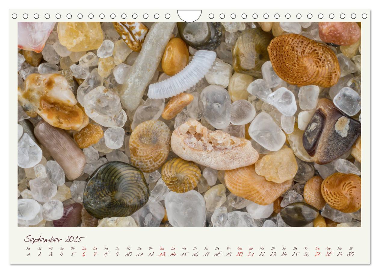 Bild: 9783435135479 | Abenteuer Mikrofotografie Sand (Wandkalender 2025 DIN A4 quer),...