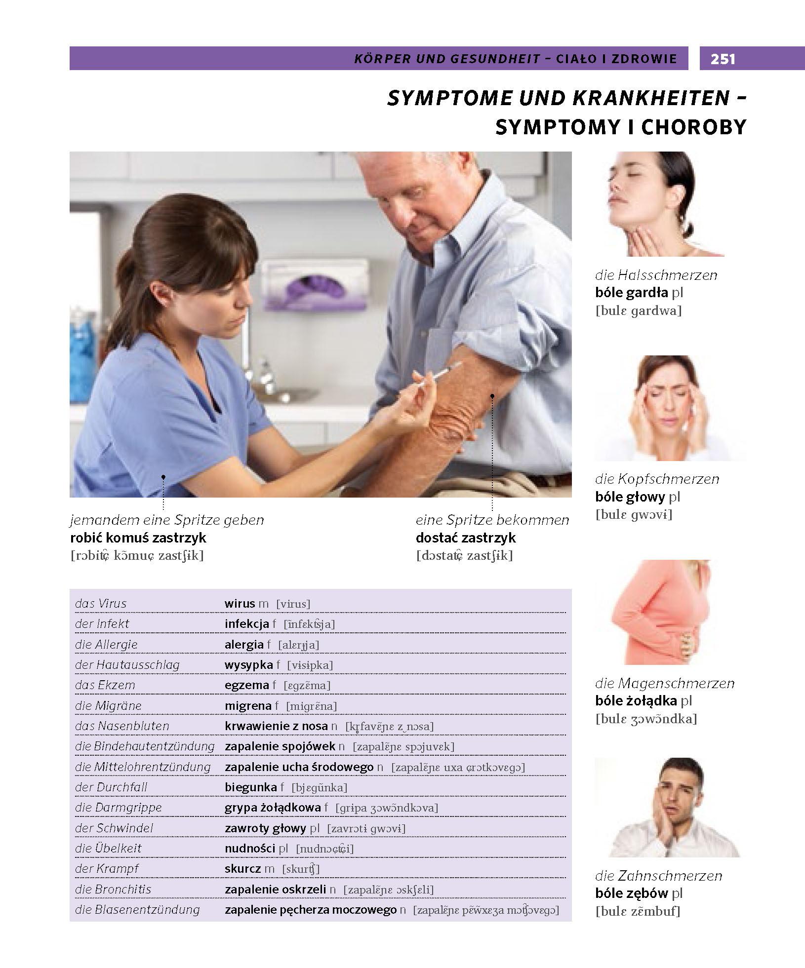 Bild: 9783125162433 | PONS Bildwörterbuch Polnisch | Taschenbuch | PONS Bildwörterbuch