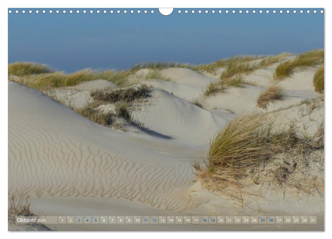 Bild: 9783435660780 | Texel. Neue Dünen (Wandkalender 2025 DIN A3 quer), CALVENDO...