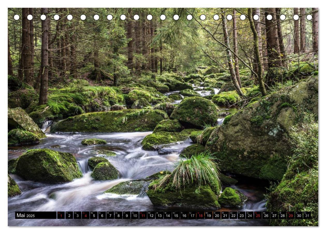 Bild: 9783435537853 | Der Harz einfach magisch (Tischkalender 2025 DIN A5 quer), CALVENDO...