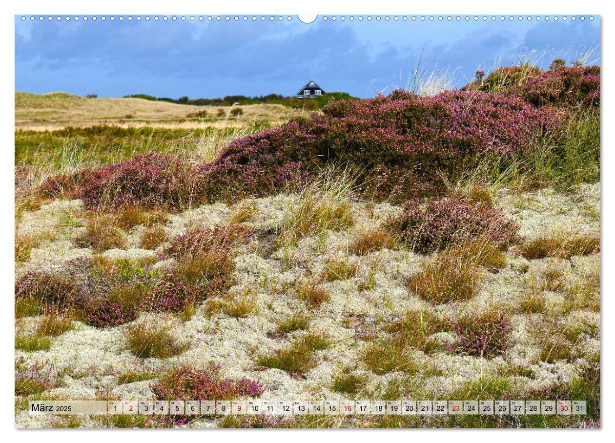 Bild: 9783383955020 | Skagen ¿Licht und Leben an Dänemarks Nordspitze (Wandkalender 2025...