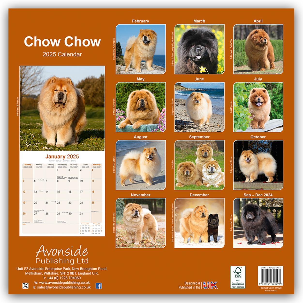 Rückseite: 9781804603291 | Chow Chow 2025 - 16-Monatskalender | Avonside Publishing Ltd | 13 S.