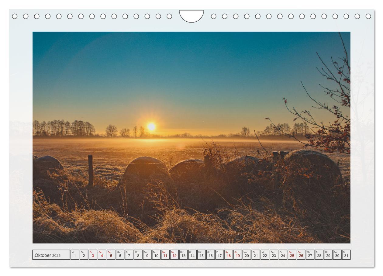 Bild: 9783457243060 | Naturpark Dümmer (Wandkalender 2025 DIN A4 quer), CALVENDO...