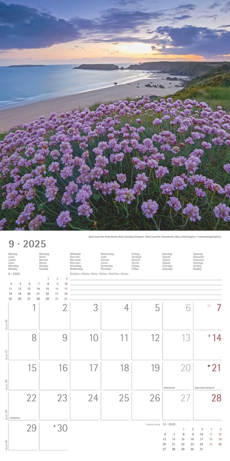 Bild: 4251732340896 | Am Meer 2025 - Broschürenkalender 30x30 cm (30x60 geöffnet) -...