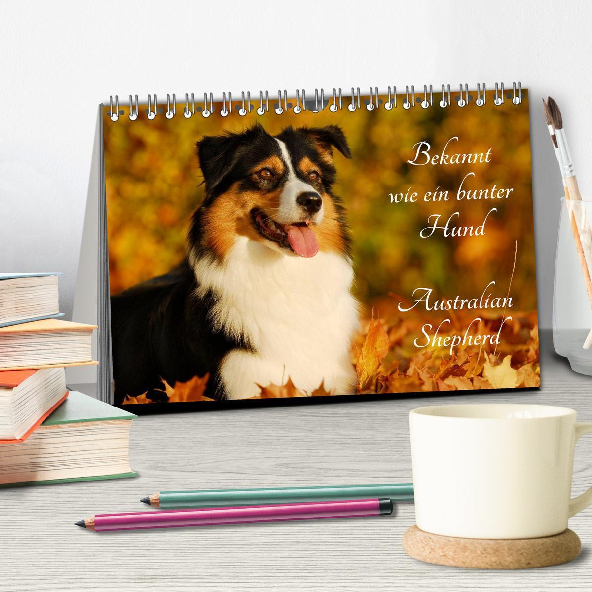 Bild: 9783435570287 | Bekannt wie ein bunter Hund. Australian Shepherd (Tischkalender...