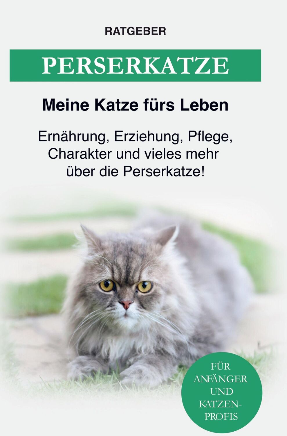 Cover: 9789403626628 | Perserkatze | Ratgeber Meine Katze fürs Leben | Taschenbuch | 108 S.