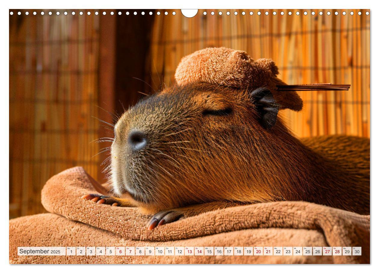 Bild: 9783457163955 | Capybaras im Alltag - Ein Jahr voller Abenteuer (Wandkalender 2025...