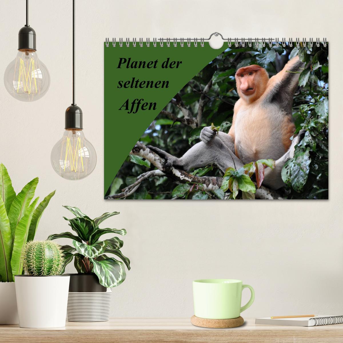 Bild: 9783435369867 | Planet der seltenen Affen (Wandkalender 2025 DIN A4 quer), CALVENDO...