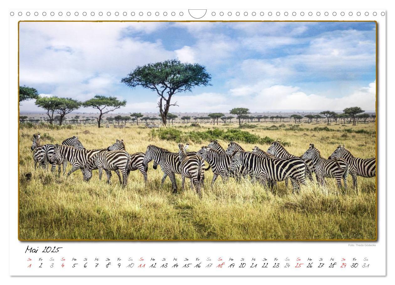 Bild: 9783435488773 | Abenteuer Masai Mara (Wandkalender 2025 DIN A3 quer), CALVENDO...