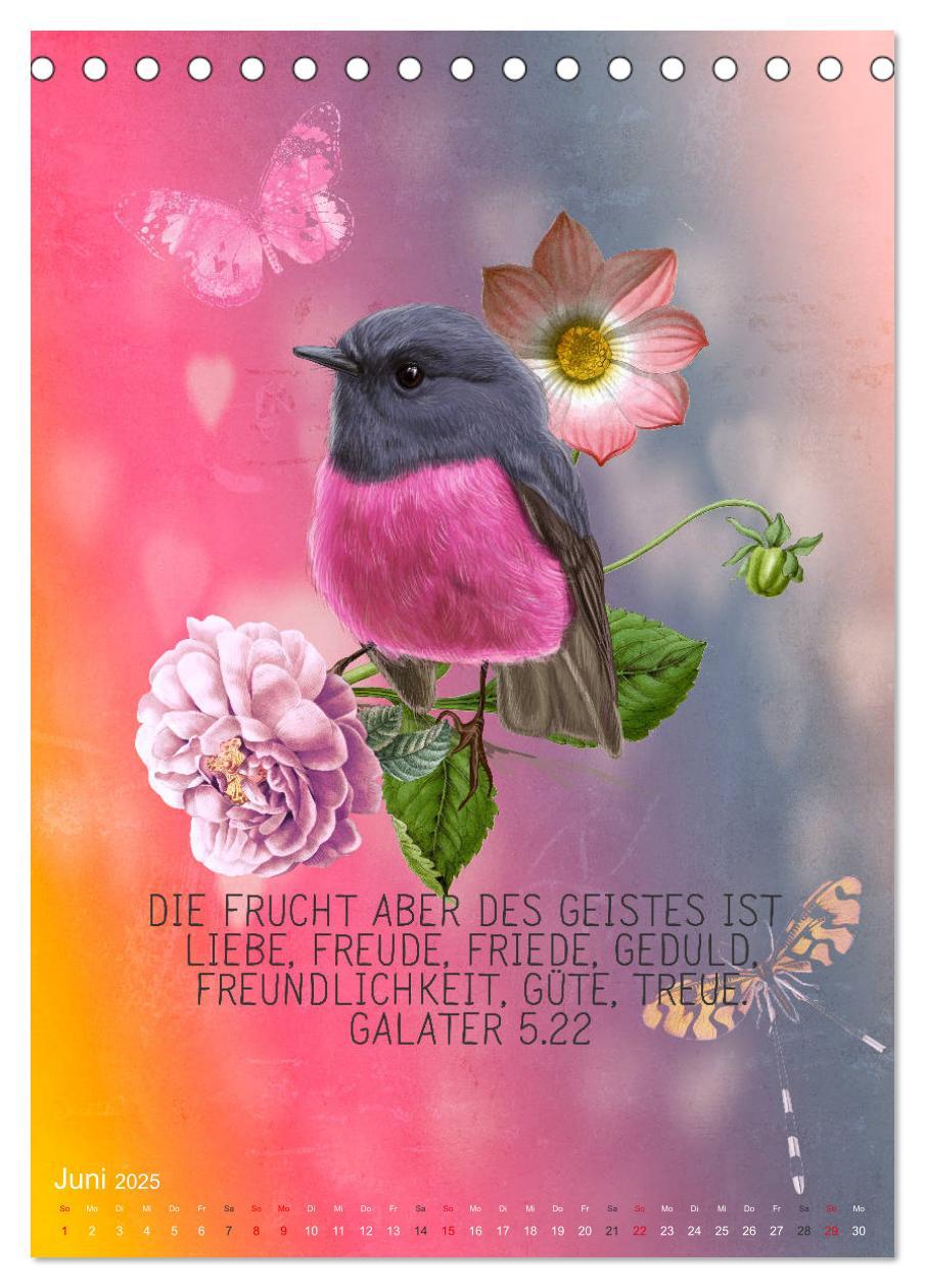 Bild: 9783435961399 | Bibelworte für Vogelfreunde (Tischkalender 2025 DIN A5 hoch),...