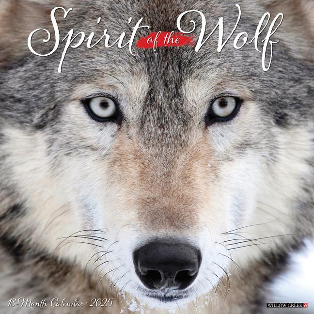 Cover: 9781549245008 | Spirit of the Wolf 2025 12 X 12 Wall Calendar | Willow Creek Press