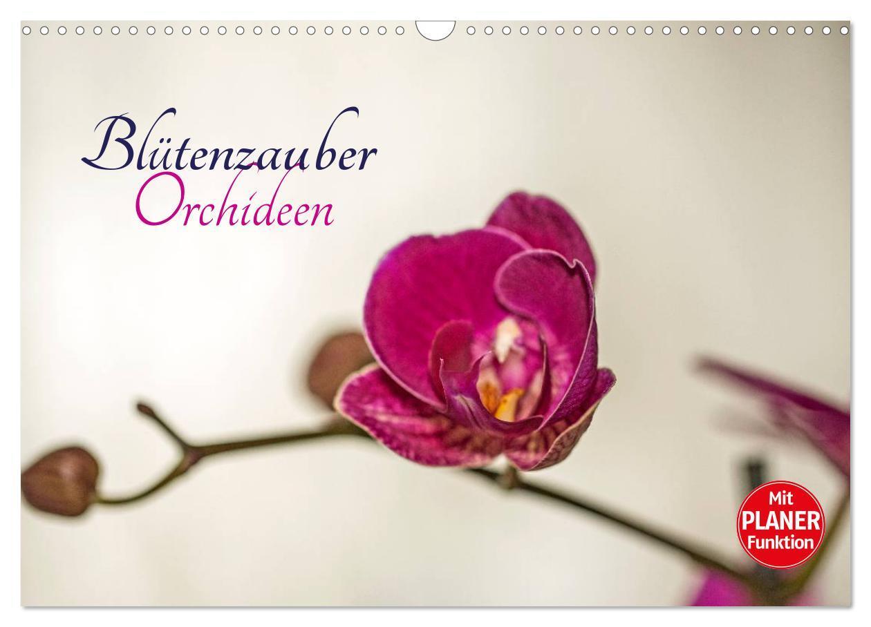 Cover: 9783435553303 | Blütenzauber Orchideen (Wandkalender 2025 DIN A3 quer), CALVENDO...