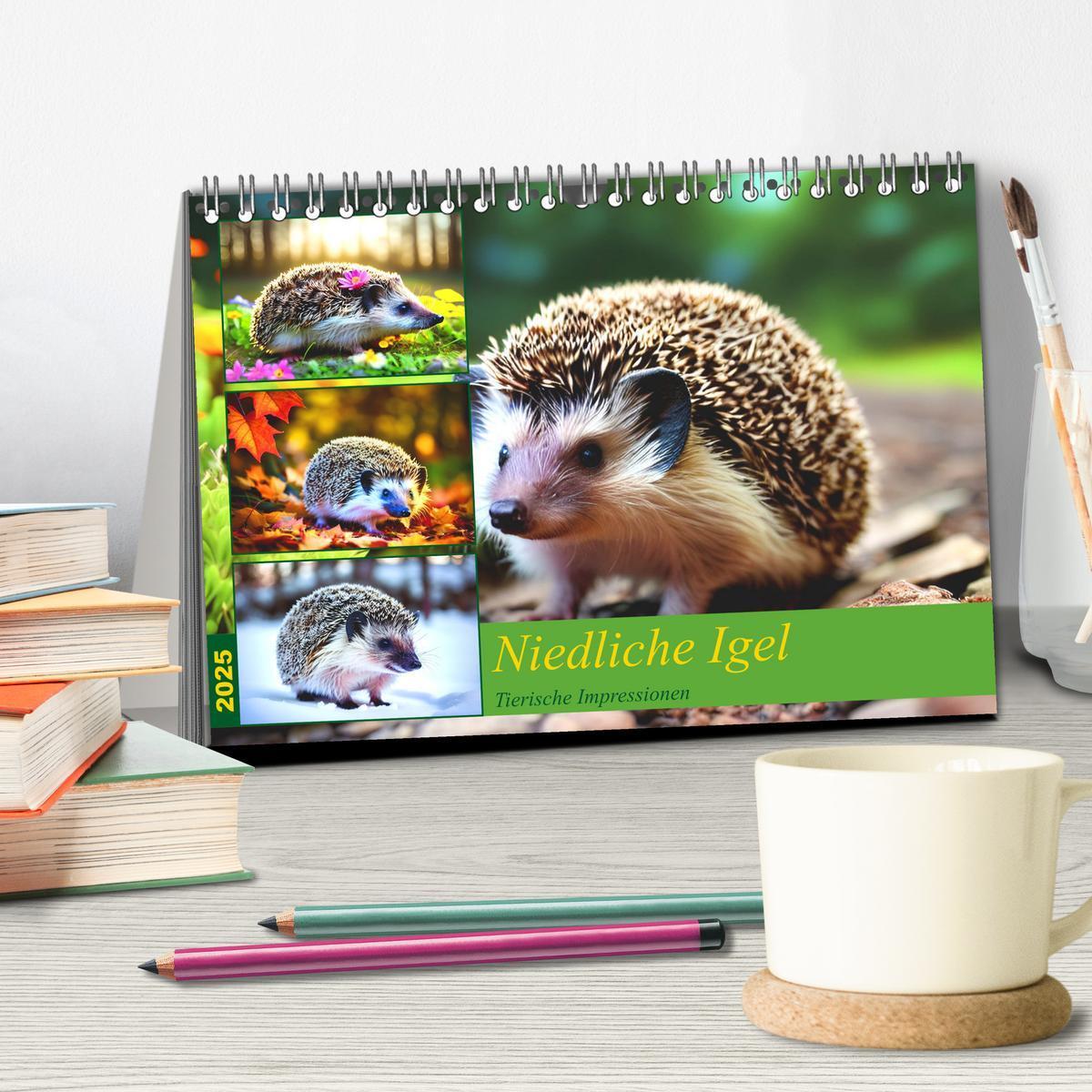 Bild: 9783383869730 | Niedliche Igel (Tischkalender 2025 DIN A5 quer), CALVENDO...