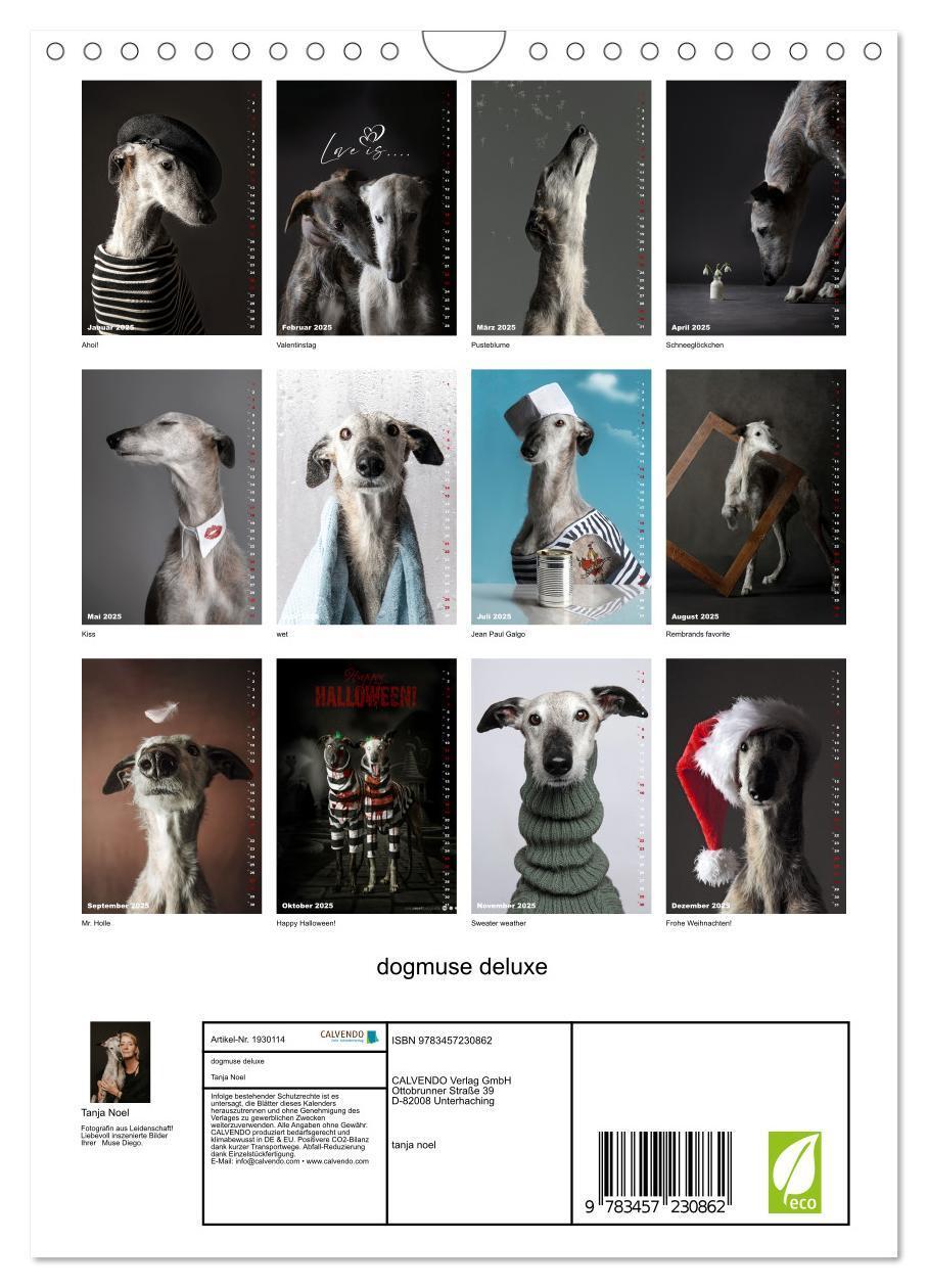 Bild: 9783457230862 | dogmuse deluxe (Wandkalender 2025 DIN A4 hoch), CALVENDO...