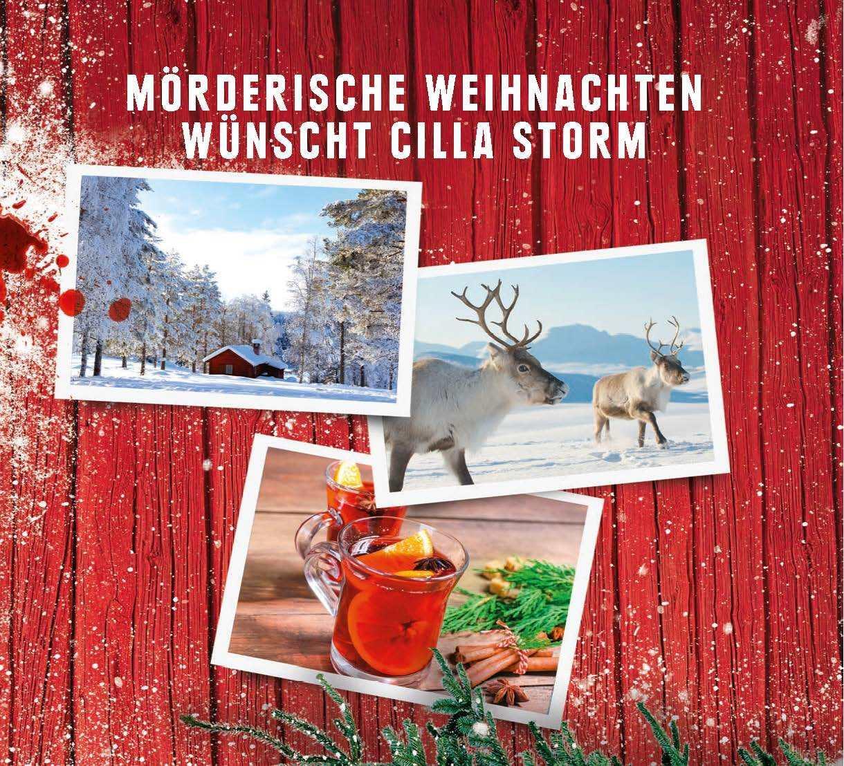 Bild: 9783453425538 | Schwedischer Todesfrost | Ein Schären-Krimi | Christoffer Holst | Buch