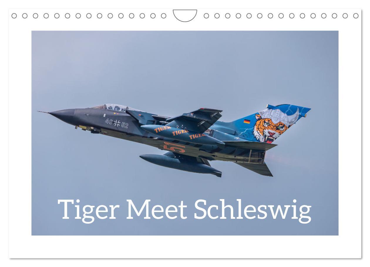 Cover: 9783457154144 | Tiger Meet Schleswig (Wandkalender 2025 DIN A4 quer), CALVENDO...