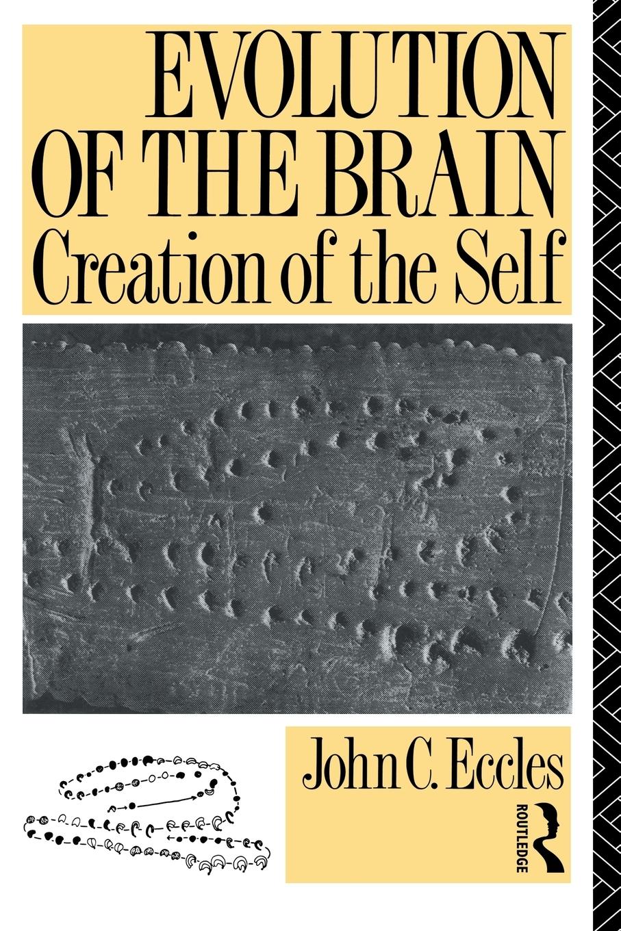 Cover: 9780415032247 | Evolution of the Brain | Creation of the Self | John C. Eccles | Buch