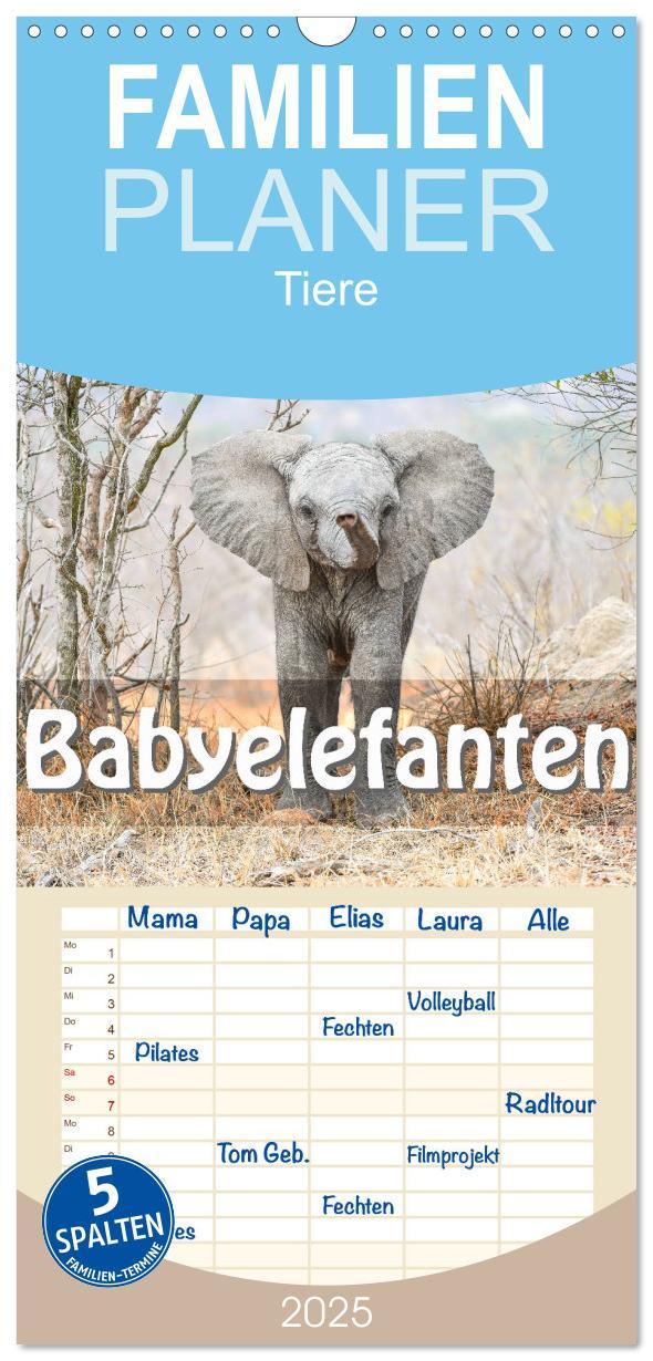 Cover: 9783457108970 | Familienplaner 2025 - Babyelefanten mit 5 Spalten (Wandkalender, 21...