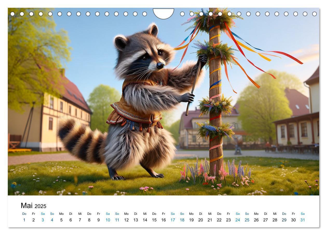 Bild: 9783383775345 | Lustige Waschbären (Wandkalender 2025 DIN A4 quer), CALVENDO...