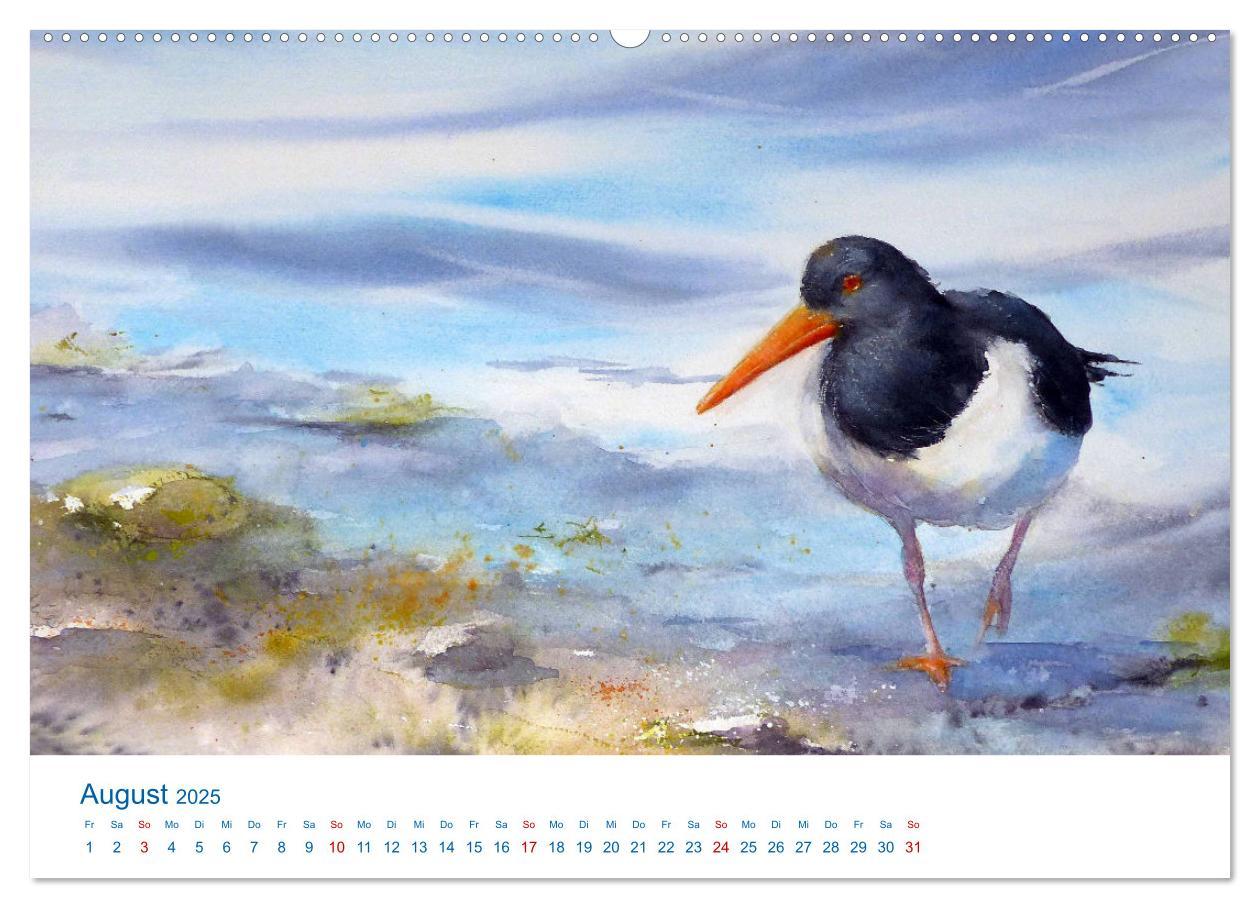 Bild: 9783457146743 | Föhr - Aquarelle (Wandkalender 2025 DIN A2 quer), CALVENDO...