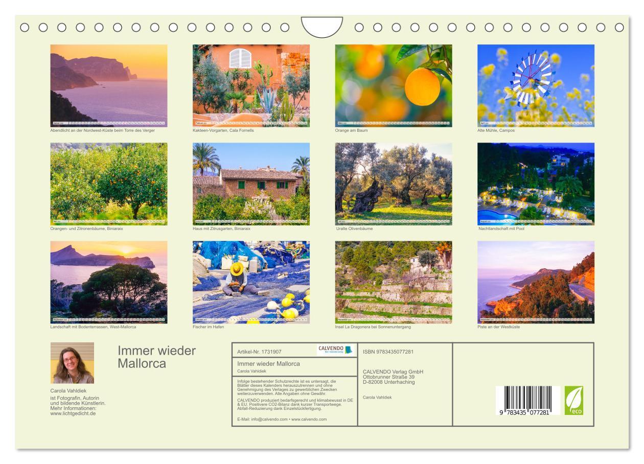 Bild: 9783435077281 | Immer wieder Mallorca (Wandkalender 2025 DIN A4 quer), CALVENDO...