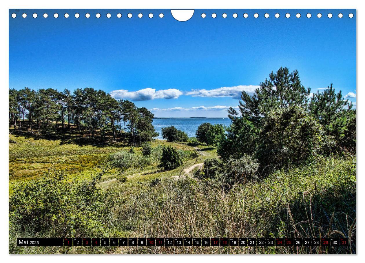 Bild: 9783435440504 | Das idyllische Usedom (Wandkalender 2025 DIN A4 quer), CALVENDO...