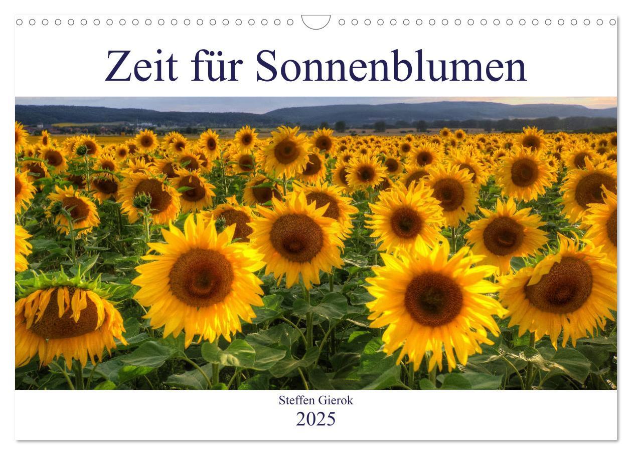 Cover: 9783435696765 | Zeit für Sonnenblumen (Wandkalender 2025 DIN A3 quer), CALVENDO...